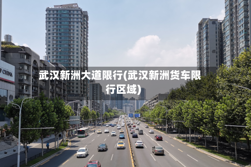 武汉新洲大道限行(武汉新洲货车限行区域)-第2张图片