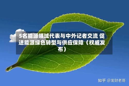 5名能源领域代表与中外记者交流 促进能源绿色转型与供应保障(权威发布)-第2张图片
