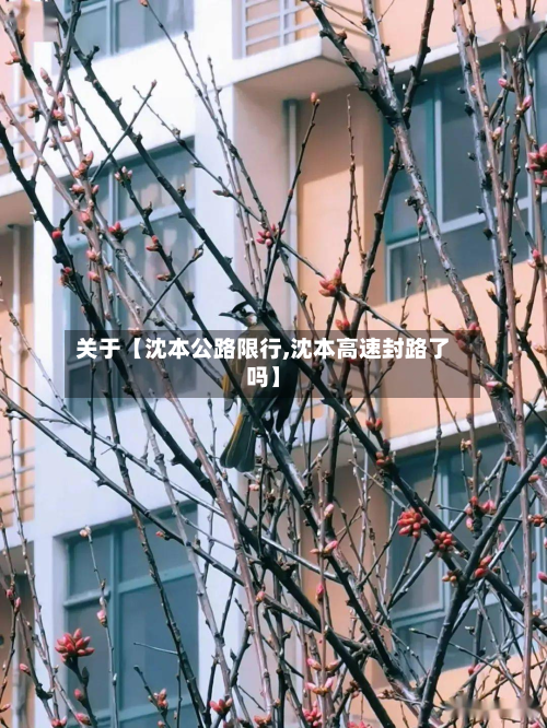 关于【沈本公路限行,沈本高速封路了吗】-第1张图片