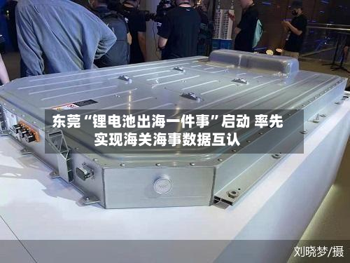 东莞“锂电池出海一件事”启动 率先实现海关海事数据互认-第1张图片