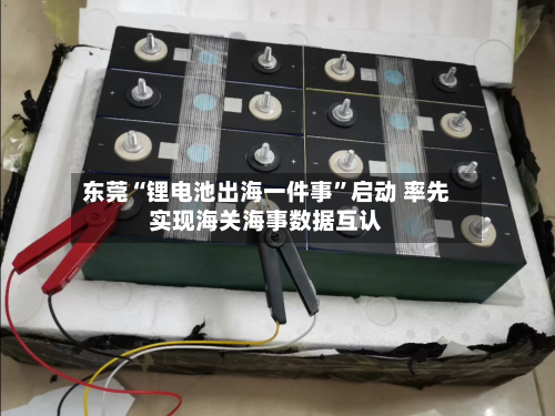 东莞“锂电池出海一件事”启动 率先实现海关海事数据互认-第2张图片