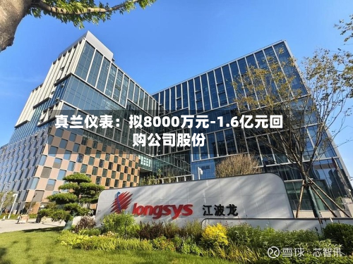 真兰仪表：拟8000万元-1.6亿元回购公司股份-第1张图片