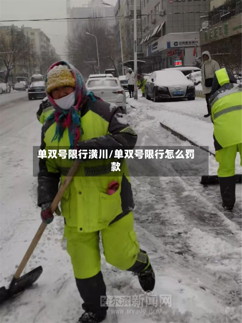 单双号限行潢川/单双号限行怎么罚款-第3张图片